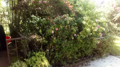 Rustic Finca in Grijota photo 10