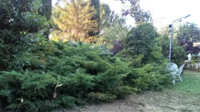 Rustic Finca in Grijota photo 6