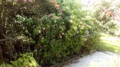 Rustic Finca in Grijota photo 7