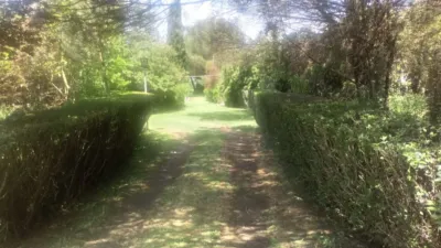Rustic Finca in Grijota photo 9