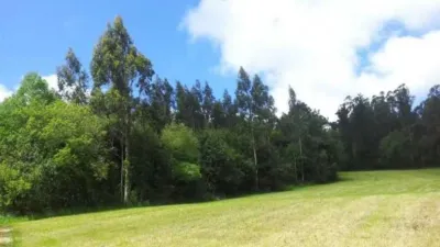 Piso – San Sadurniño, O Casal - Vista 4
