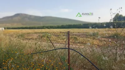 Finca rústica en venta en Calle Macillaso, Número 0, Nueva Ciudad (Mérida) de 140.000 €