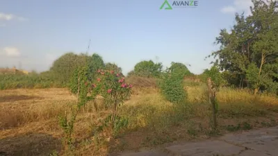 Finca rústica en venta en Calle Macillaso, Número 0, Nueva Ciudad (Mérida) de 140.000 €