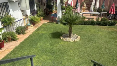 Miniatura 9
