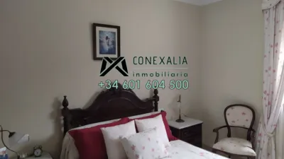 Apartment in Ensanche photo 35