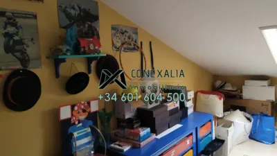 Apartment in Ensanche photo 20