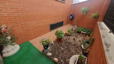 Miniatura 4