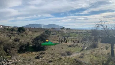 Rustic farm in Urcal photo 2