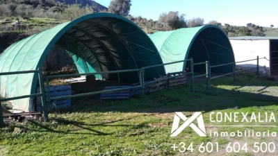 Rustic Finca in El Gastor photo 10