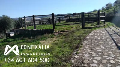 Rustic Finca in El Gastor photo 11