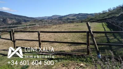 Rustic Finca in El Gastor photo 12