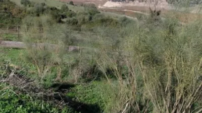 Rustic Finca in El Gastor photo 14