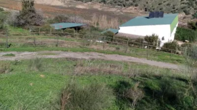 Rustic Finca in El Gastor photo 16