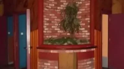 Local comercial en alquiler en Inferniño - Més