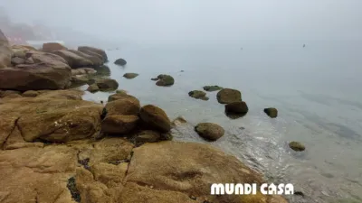 Casa en venta en Rúa Conchido, A Pobra Do Caramiñal (A Pobra do Caramiñal) de 560.000 €