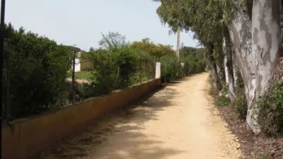 Rustic Finca in La Muela photo 17