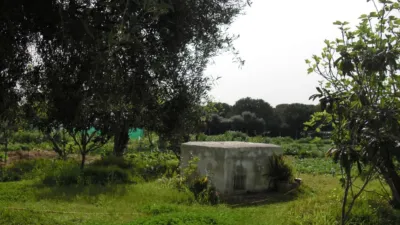 Rustic Finca in La Muela photo 9