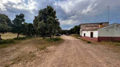 Rustic Finca on Carretera de Masegoso photo 46
