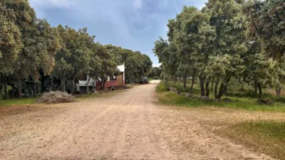 Rustic Finca on Carretera de Masegoso photo 48