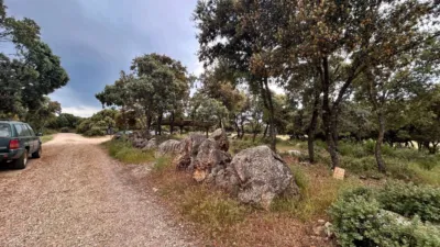 Rustic Finca on Carretera de Masegoso photo 51