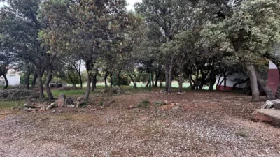 Rustic Finca on Carretera de Masegoso photo 52