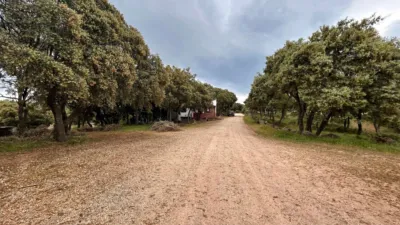 Rustic Finca on Carretera de Masegoso photo 55