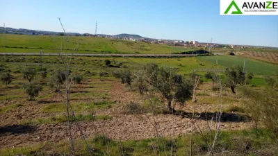 Finca rústica en venta en Barriadas - San Andrés - Cantaranas, Reina Sofía-Salesianos-Bodegones (Mérida) de 75.000 €
