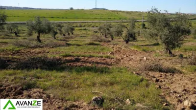 Finca rústica en venta en Barriadas - San Andrés - Cantaranas, Reina Sofía-Salesianos-Bodegones (Mérida) de 75.000 €
