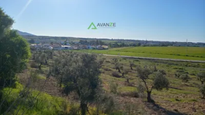 Finca rústica en venta en Barriadas - San Andrés - Cantaranas, Reina Sofía-Salesianos-Bodegones (Mérida) de 75.000 €