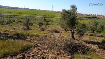 Finca rústica en venta en Barriadas - San Andrés - Cantaranas, Reina Sofía-Salesianos-Bodegones (Mérida) de 75.000 €