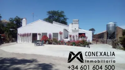Rustic Finca in Olvera photo 6