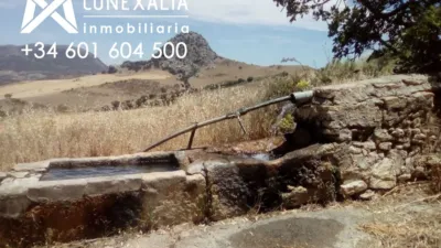 Rustic Finca in Olvera photo 7