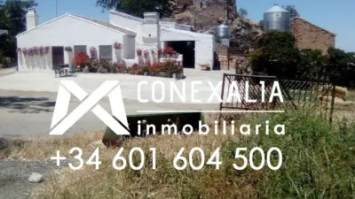 Rustic Finca in Olvera photo 8
