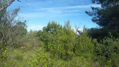 Rustic farm in Camí de les Bassoles photo 6