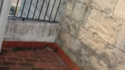 House in the Old Town photo 7