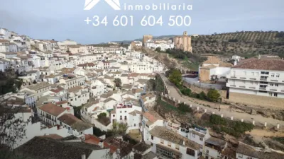 House in Setenil photo 30