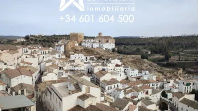 House in Setenil photo 40