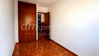 Apartment in Candelaria photo 15