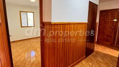 Apartment in Candelaria photo 20