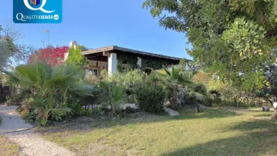 Casa – Elx - Elche - Vista 3