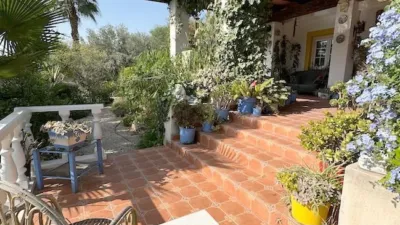 Casa – Elx - Elche - Más