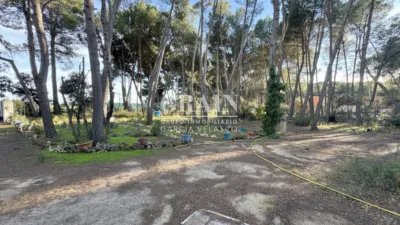 Chalet in Pinares del Jucar photo 28