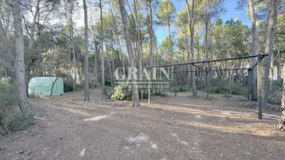 Chalet in Pinares del Jucar photo 31