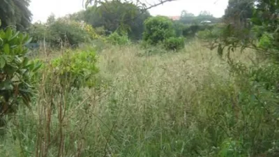 Terreno en venta en Santa Marina - Vista 2