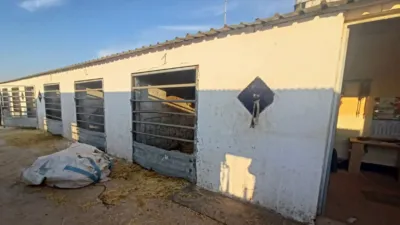 Finca rústica en venta en Bálsicas, Jerónimo y Avileses (Distrito Campo de Murcia. Murcia Capital) de 194.000 €