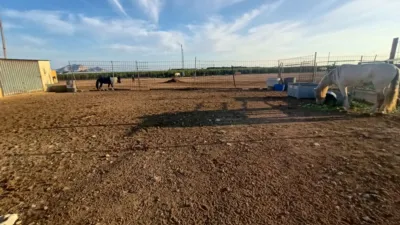 Finca rústica en venta en Bálsicas, Jerónimo y Avileses (Distrito Campo de Murcia. Murcia Capital) de 194.000 €