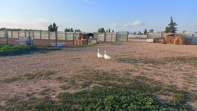 Finca rústica en venta en Bálsicas, Jerónimo y Avileses (Distrito Campo de Murcia. Murcia Capital) de 194.000 €