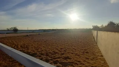 Finca rústica en venta en Bálsicas, Jerónimo y Avileses (Distrito Campo de Murcia. Murcia Capital) de 194.000 €