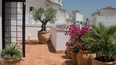 House in Nueva Zona photo 4