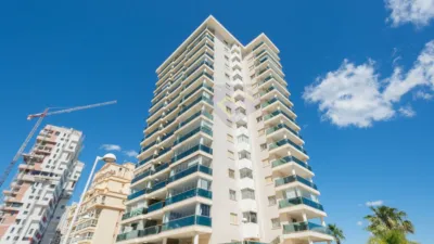 Apartment at Avinguda Juan Carlos I, 4 photo 19